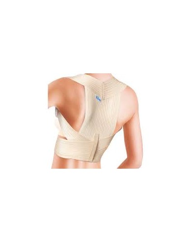 ESPALDILLERA PRIM CONFORT 335 T- S
